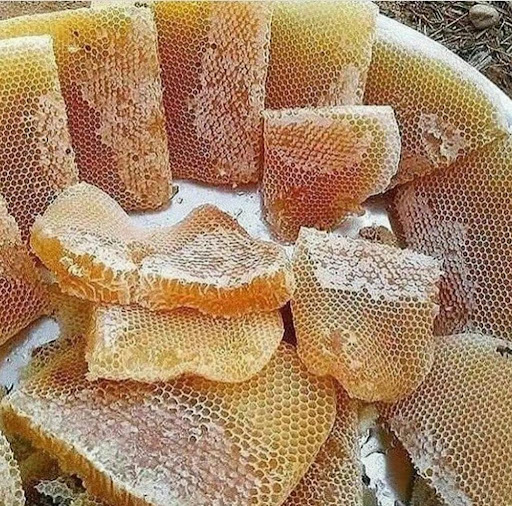 فروشگاه عسل ناطق