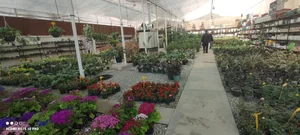 باغ گل عزیز 4
