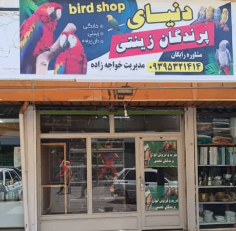 پرنده فروشی دنیای پرندگان زینتی