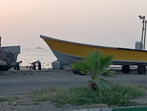 جاسک کات من