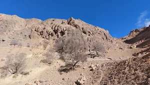 بابازکی