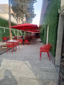 تمشک وحشی