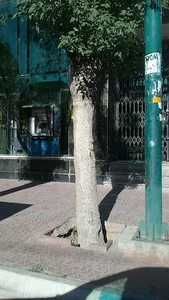 خودپرداز بانک ملت