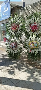قصرگل ساحل بتویی