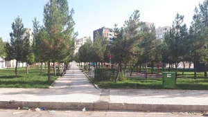 پارک طلوع