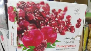 میوه سرای بهار نارنج 4