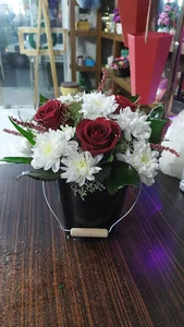 گلکده گل یخ
