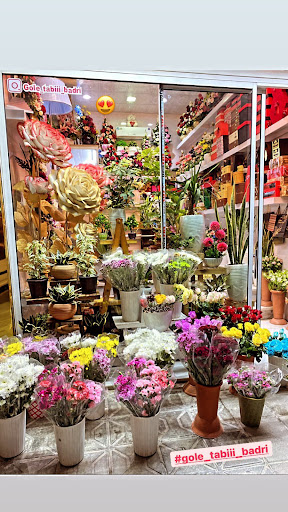 گل طبیعی بدری
