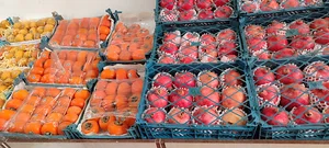 میوه فروشی آرتا