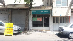 بیمه البرز - علیزاده