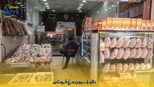 پروتئین مهروند