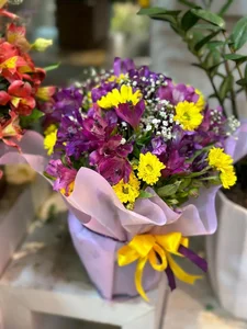 فروشگاه گل کاکتی 2