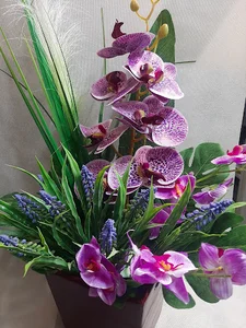 گلسرای گلایل زنجان(Golsaray Gelayol Zanjan)