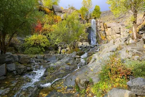 سنگ نوشته‌های باستانی گنجنامه