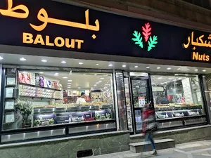 خشکبار بلوط