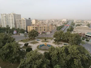 زیتون ۲