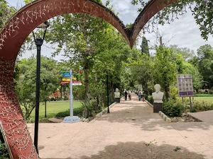 Baxy Gshty park