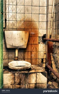 سرویس بهداشتی