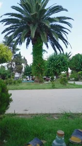 باغ ملی 2