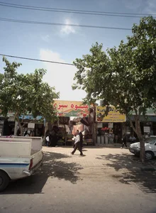 میوه سبزی ارزان سرای دشت بهشت