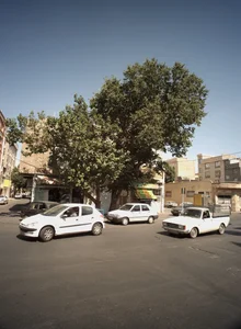 نانوایی سنگکی مسلم ابن عقیل