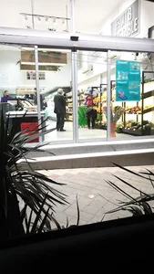 بامیکا جردن