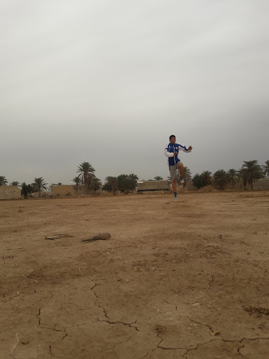 نخلستان بیت دیوان