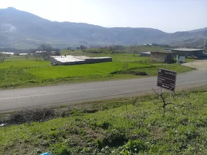 روستا