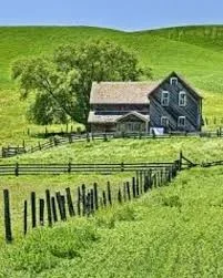 آزمایشگاه آنالیز مواد غذایی دانش بنیان امین