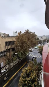 شرکت پخش ثمین کالا