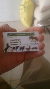 مغازه خوراک داموطیور و وسایل زنبور داری