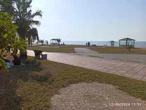 بوستان صدف 4