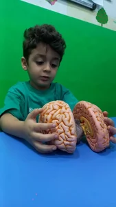 کودکستان و موسسه استعداد یابی قصر شادی 3
