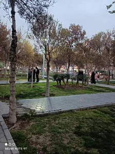 پارک کمیل 3