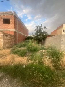خوار و بار فروشی هامون