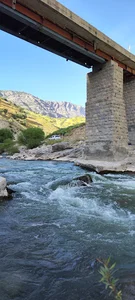 کنار پل