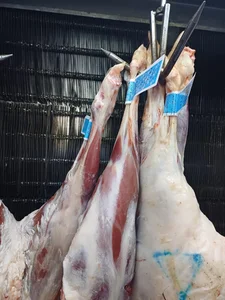 سوپر گوشت کوهستان(محمدنژاد) 2
