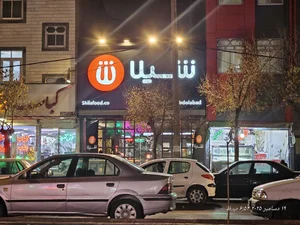 فست فود شیلا 2