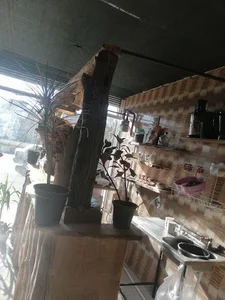 مرتضی رضانژاد