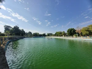 دریاچه پارک