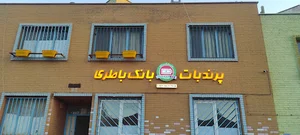 پرندبات بانک باطری