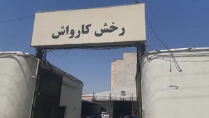 رخش کارواش