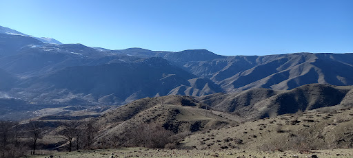 چنار لر