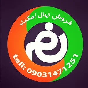 دفتر فروش نهال و مکث