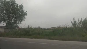 دلاورکلا