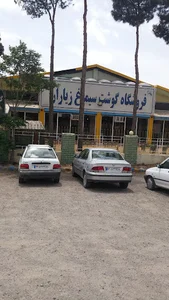 شرکت مهرگستران سیمرغ زیاران