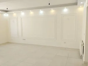 فراصنعت