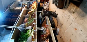 میوه سرای بنیامین 5