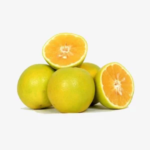فروشگاه اینترنتی فروش عمده میوه - گل میوه اندیشه
