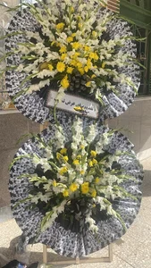 دنیای گل امیر